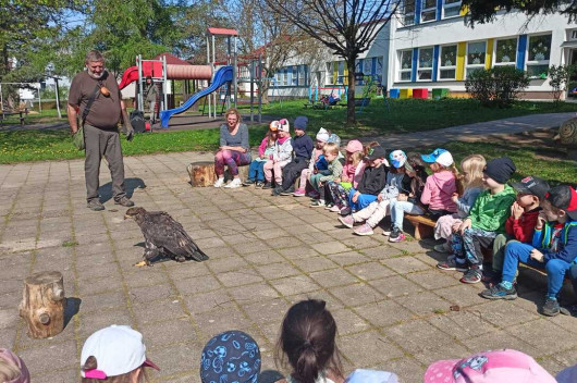 Dravci
