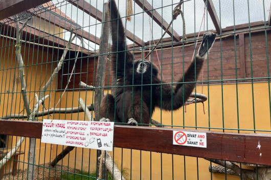 Výlet Bítovany